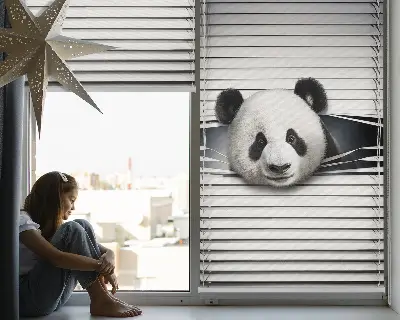 Estores de rolo interiores blackout para janela Panda
