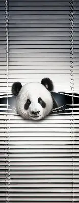 Estores de rolo interiores blackout para janela Panda