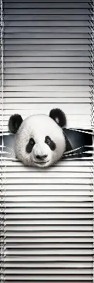 Estores de rolo interiores blackout para janela Panda