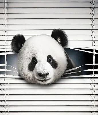 Estores de rolo interiores blackout para janela Panda
