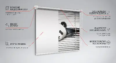Estores de rolo interiores blackout para janela Panda