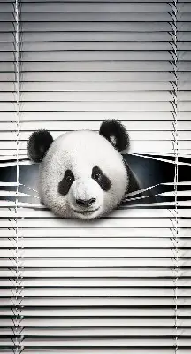 Estores de rolo interiores blackout para janela Panda