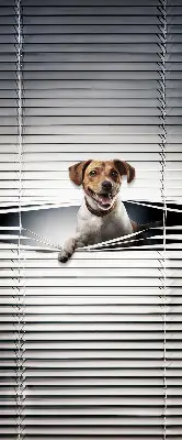 Estores de rolo em tecido blackout Cachorro