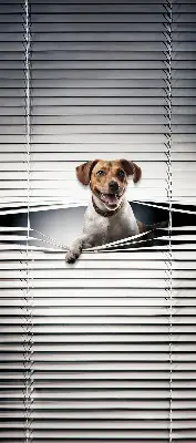 Estores de rolo em tecido blackout Cachorro