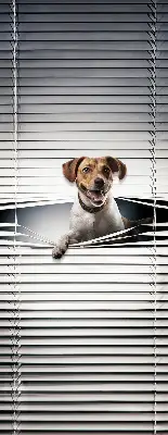 Estores de rolo em tecido blackout Cachorro