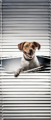 Estores de rolo em tecido blackout Cachorro