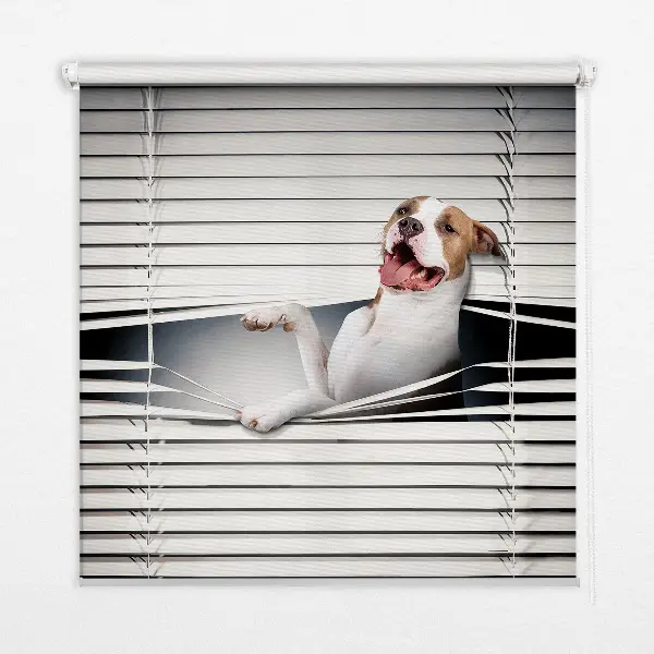 Estores de rolo blackout para janela Cachorro