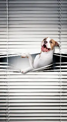 Estores de rolo blackout para janela Cachorro