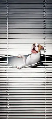 Estores de rolo blackout para janela Cachorro