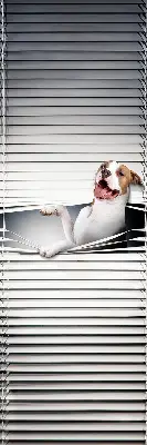Estores de rolo blackout para janela Cachorro