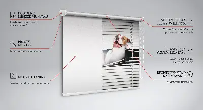 Estores de rolo blackout para janela Cachorro