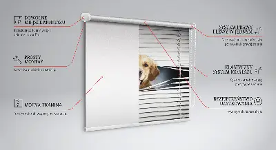 Estores de rolo interiores blackout Cão Dourado