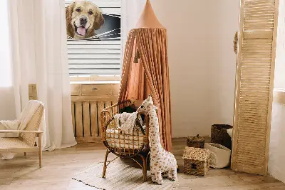 Estores de rolo interiores blackout Cão Dourado