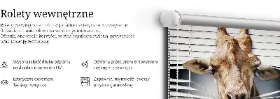 Estores de rolo interiores blackout para janela Girafa