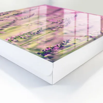 Caixa de chaves Jardim roxo