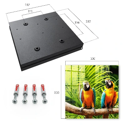 Caixa de chaves Pássaros tropicais