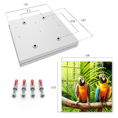 Caixa de chaves Pássaros tropicais