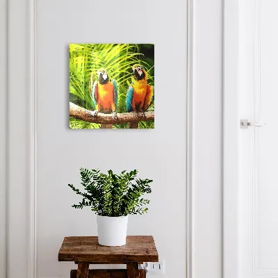 Caixa de chaves Pássaros tropicais