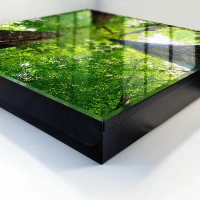 Caixa de chaves Céu da floresta
