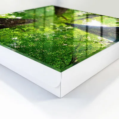 Caixa de chaves Céu da floresta