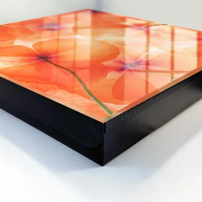 Caixa de chaves Êxtase Floral
