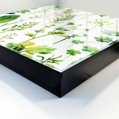Caixa para guardar chaves Aquarela de plantas