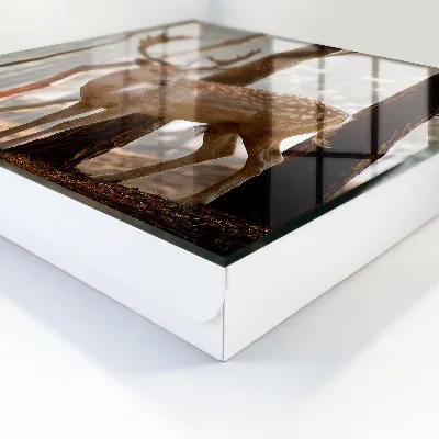 Caixa para chaves Veados na floresta