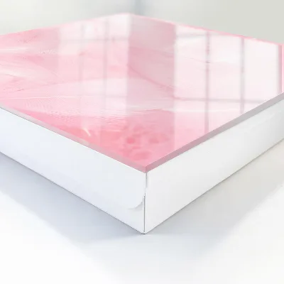 Caixa para chaves Penas cor-de-rosa