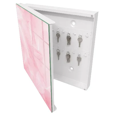 Caixa para chaves Penas cor-de-rosa