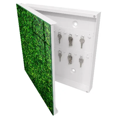Caixa para guardar chaves Jardim verde