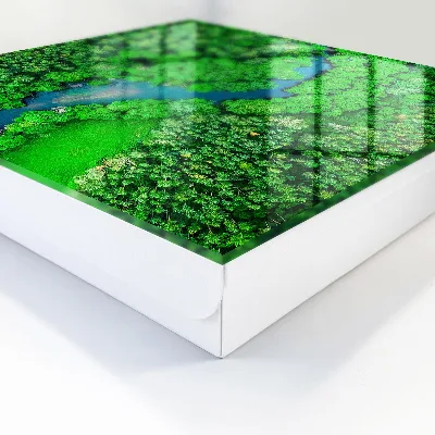 Caixa de chaves Florestas verdes