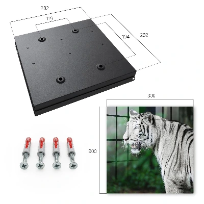 Caixa de chaves Tigre branco