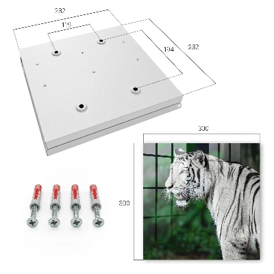 Caixa de chaves Tigre branco