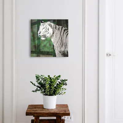 Caixa de chaves Tigre branco