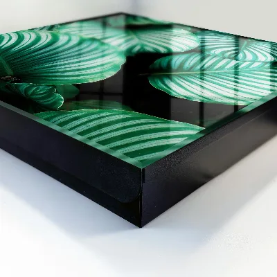 Caixa de chaves Folhas verdes