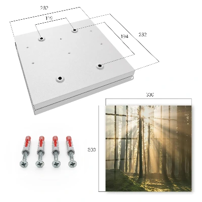 Caixa para chaves Luz da floresta