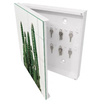 Caixa para chaves Cactos verdes