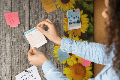 Lousa de cortiça Madeira de girassóis