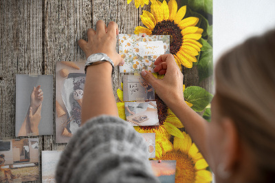 Lousa de cortiça Madeira de girassóis