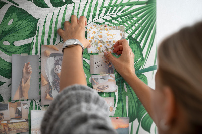 Painel de cortiça para parede Folhas da planta Monstera