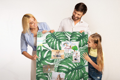 Painel de cortiça para parede Folhas da planta Monstera