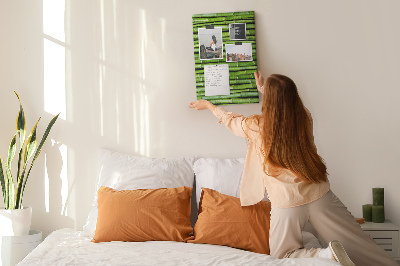 Lousa de cortiça Parede de bambu