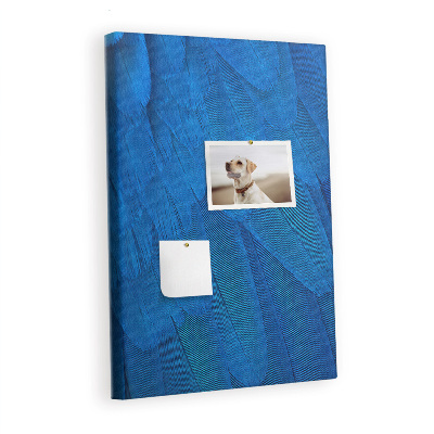 Lousa de cortiça penas de papagaio