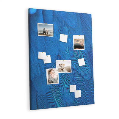 Lousa de cortiça penas de papagaio