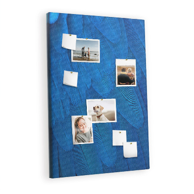 Lousa de cortiça penas de papagaio