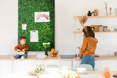 Lousa de cortiça Folhas de plantas de cerca