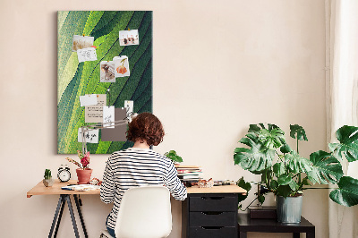 Lousa de cortiça Linhas paisagem natureza