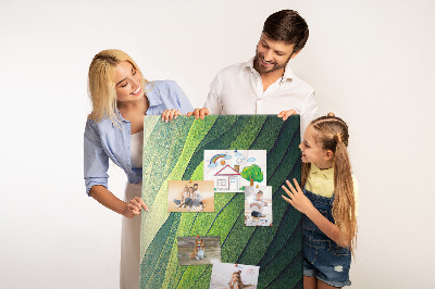 Lousa de cortiça Linhas paisagem natureza