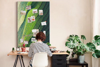 Lousa de cortiça Linhas paisagem natureza