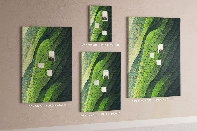 Lousa de cortiça Linhas paisagem natureza